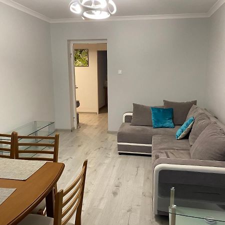 Apartament Przy Katedrze Gorzów Wielkopolski Kültér fotó