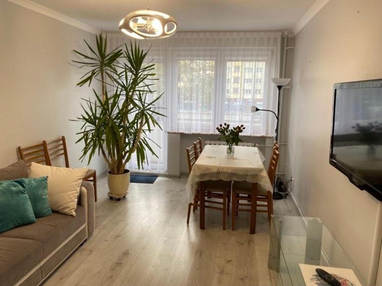 Apartament Przy Katedrze Gorzów Wielkopolski Kültér fotó